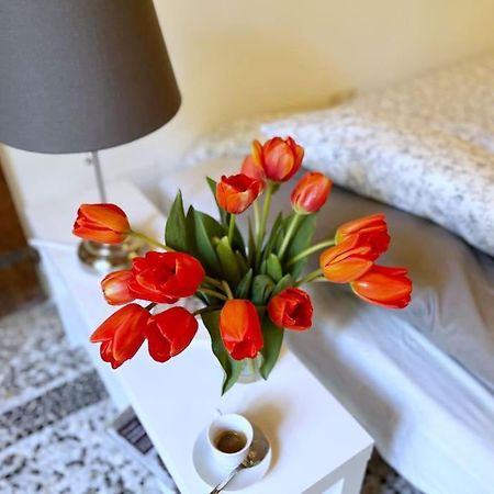 Il Canto De' Cenci Apartment أريتسو المظهر الخارجي الصورة