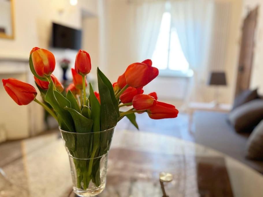 Il Canto De' Cenci Apartment أريتسو المظهر الخارجي الصورة