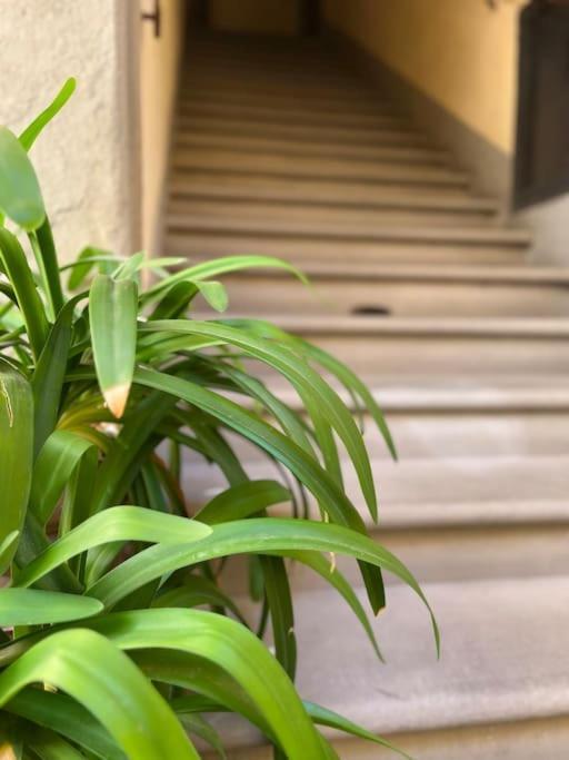 Il Canto De' Cenci Apartment أريتسو المظهر الخارجي الصورة