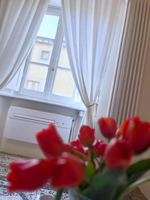 Il Canto De' Cenci Apartment أريتسو المظهر الخارجي الصورة