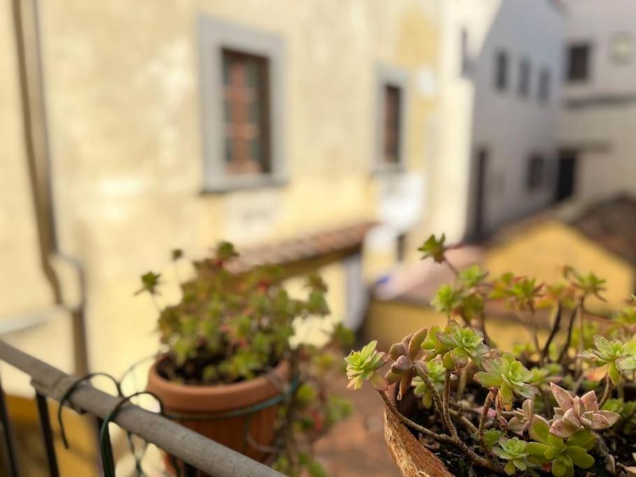 Il Canto De' Cenci Apartment أريتسو المظهر الخارجي الصورة
